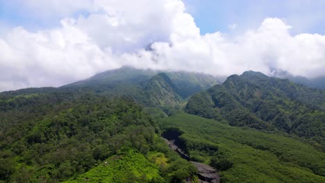 Aerial-view-slope-of-mountain-overgrown-with-forest-and-meadow