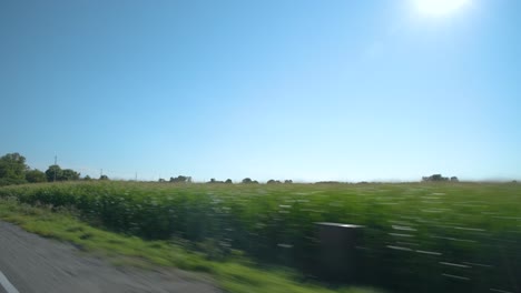 car driving on the side of the road at the edge of sunny fields