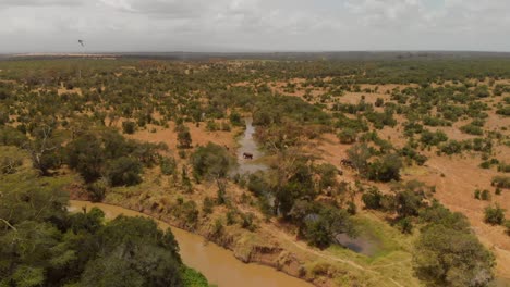 Una-Manada-De-Elefantes-Cruzando-Un-Río-En-Ol-Pejeta,-Kenia