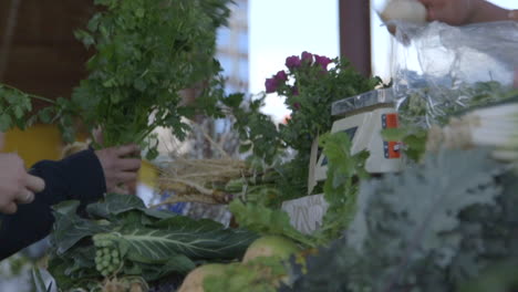 cropped images of consumers buying organic vegetables at farmer's market in durham, north carolina