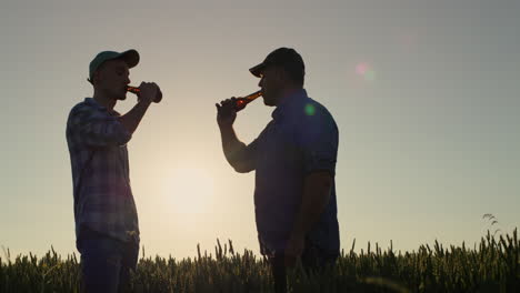 dos hombres beben cerveza en un campo de trigo, celebrando un exitoso acuerdo agrícola.