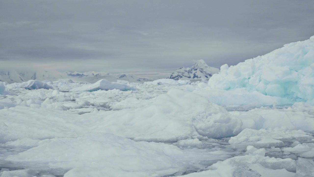 Vast field of broken sea ice drifts across cold water with distant snow-capped peaks under grey overcast sky