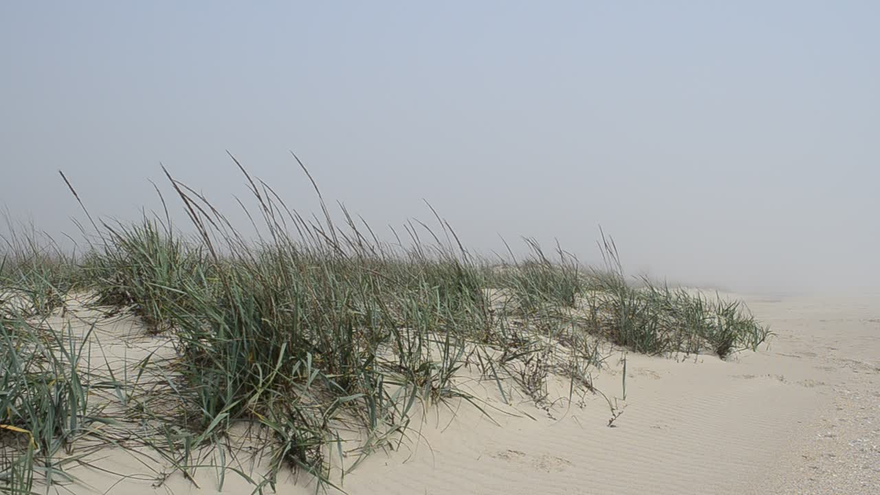 Stranden i tåge og klitter. Fotografering på stranden