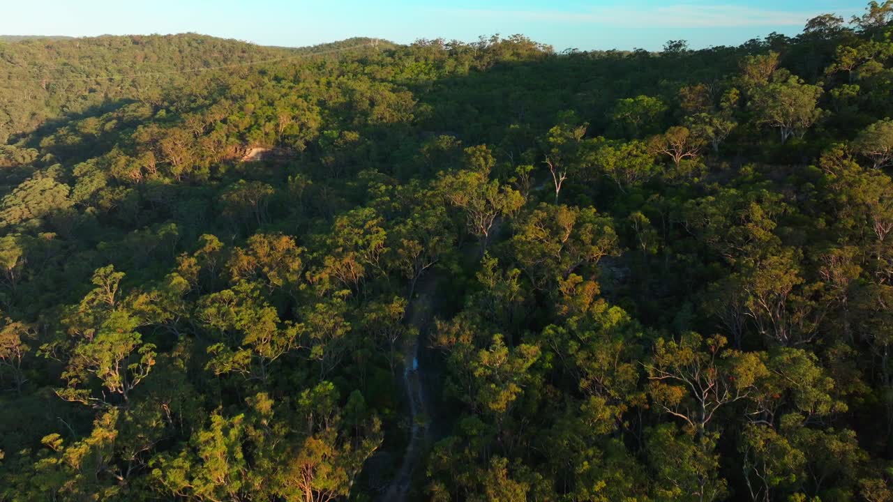 Letecký pohled na bujný australský eukalyptový les