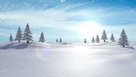 snow falling on fir tree forest at night