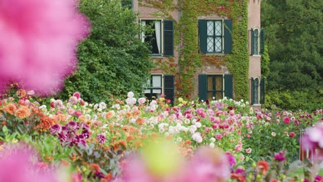 vibrant flower field with blurred foreground, static camera, soft daylight, historic building background