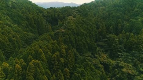 El-Paisaje-Cinematográfico-De-Japón-Filmado-Por-Dji-Phantom4pro