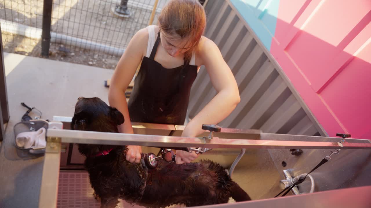 한 젊은 여성이 그녀의 개를 욕조 밖에서 목욕시니다.