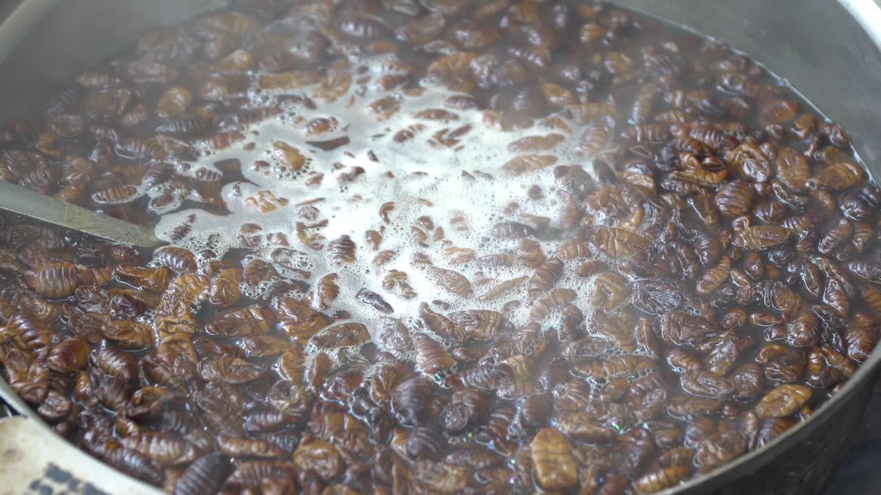 냄비에 끓는 누에 번데기