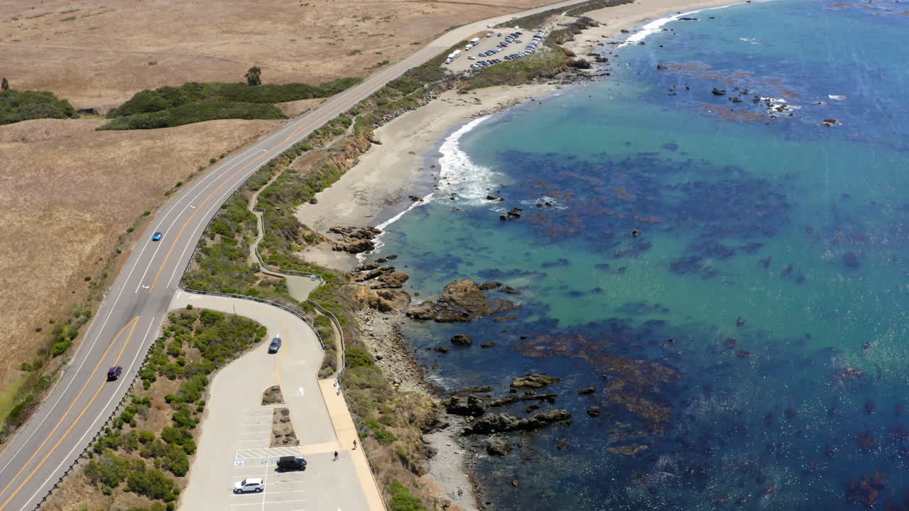 hermosa colonia de elefantes marinos en california en un día soleado