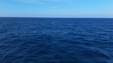 aerial view of smooth blue ocean with a distant horizon, ideal for a tranquil background