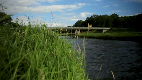 green grass by a river with a bridge in the background on a sunny day
