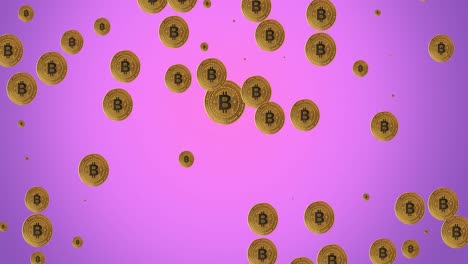 Animation-Pulsierender-Bitcoins-Auf-Violettem-Hintergrund