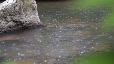 nature stream with medium rain and a rock