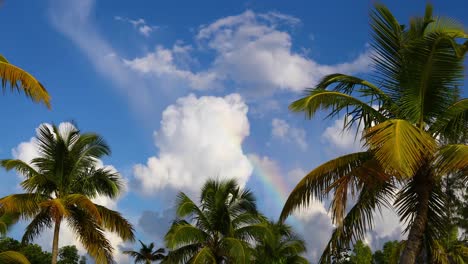 video estático de una escena de playa tropical en exuma en las bahamas con palmeras, un cielo nublado y un arco iris