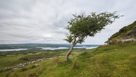 Zeitraffer-Der-Ländlichen-Und-Abgelegenen-Landschaft-Aus-Gras,-Bäumen-Und-Felsen-Während-Des-Tages-In-Den-Hügeln-Von-Carrowkeel-In-Der-Grafschaft-Sligo,-Irland