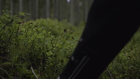 A-beautiful-green-pine-forest-in-Sweden-with-a-runners-foot-suddently-stepping-in-front-of-the-camera