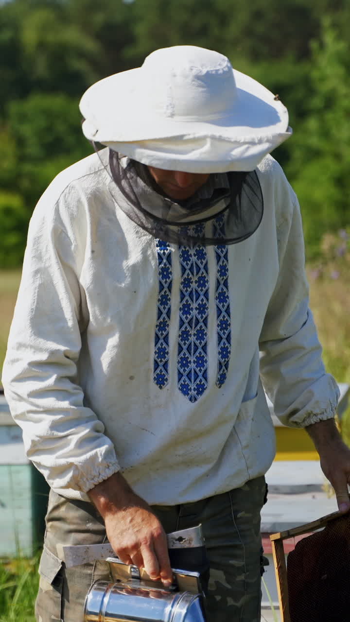 Beekeeper's work in summer. Professional apiarist working with chimney in the apiary among nature . Beekeeping process. Vertical video