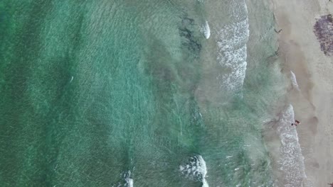 panorámico sobrevuelo de pájaro hermoso turquesa claras olas del océano con arena costa rica playa costa, 4k avión no tripulado aéreo
