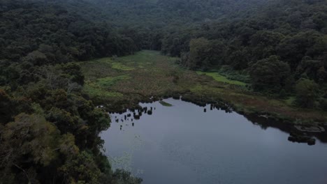 tomada de avión no tripulado del lago kookal, valle de bosque tropical bajo un cielo lluvioso, kodikanal, tamil nadu, india