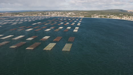 Large-oyster-farming-in-the-Bassin-de-Thau-aerial-view-with-Bouzigues