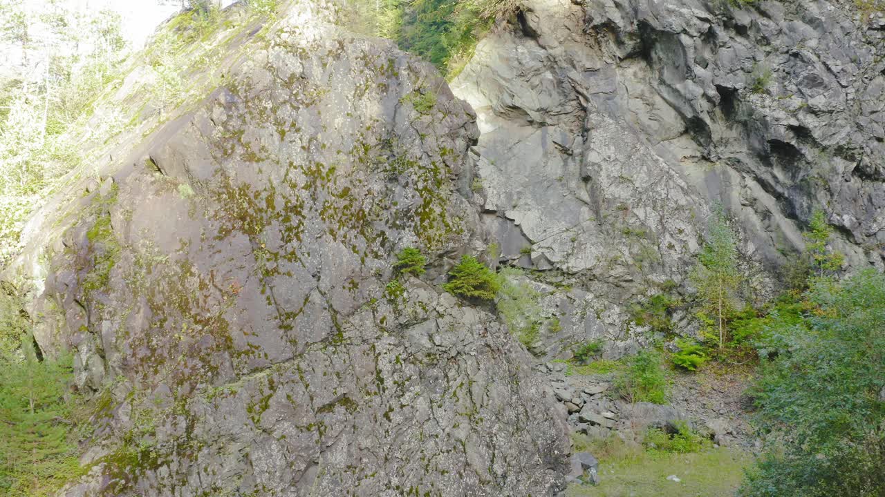 entrar en la tranquila jungla de eisenkappel vellach austria revelar