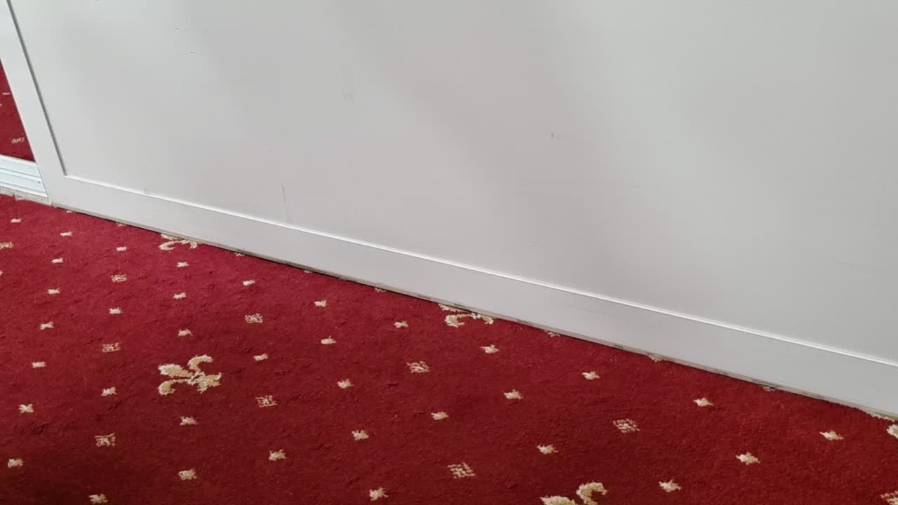 vista de cerca de una alfombra roja con apertura y cierre de una puerta corredera blanca