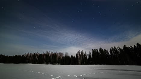 Lapso-De-Tiempo-De-Estrellas-Sobre-El-Paisaje-Invernal-Sobre-Pinos-Silueteados