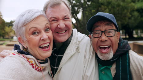 sonrisa, selfie y amigos mayores en los parques