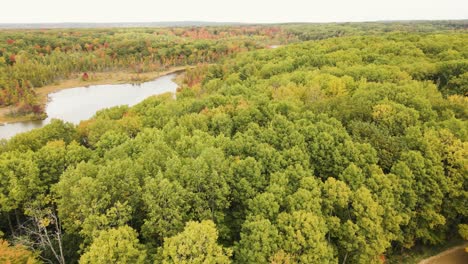 Eine-Luftige-Pfanne-Mit-Wechselnden-Blättern-Im-Frühherbst