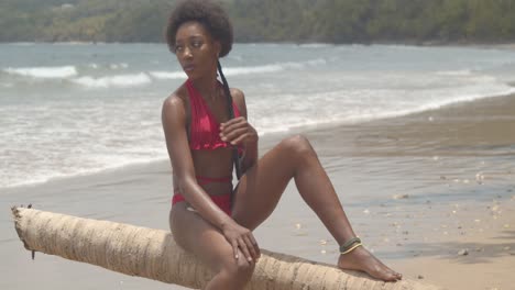 Amazing-african-model-in-a-bikinisitting-on-a-log-in-the-sand-waves-of-the-ocean-crashing-on-the-shoreline