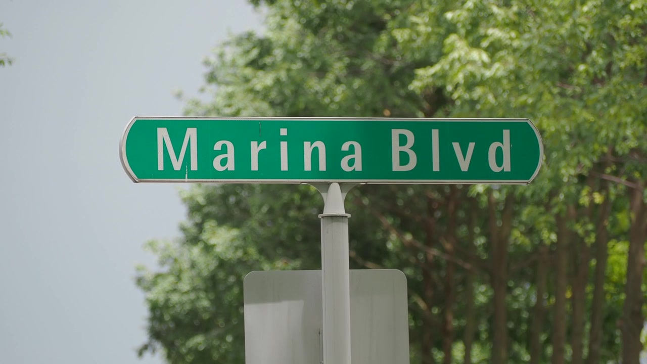 Segnale stradale verde "Marina Blvd" contro alberi sfocati