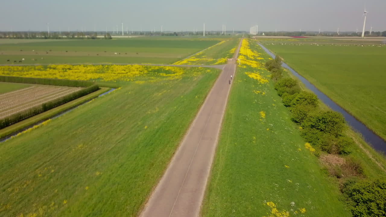 Aerial drone shot tilting up over the beautiful road in the Netherlands