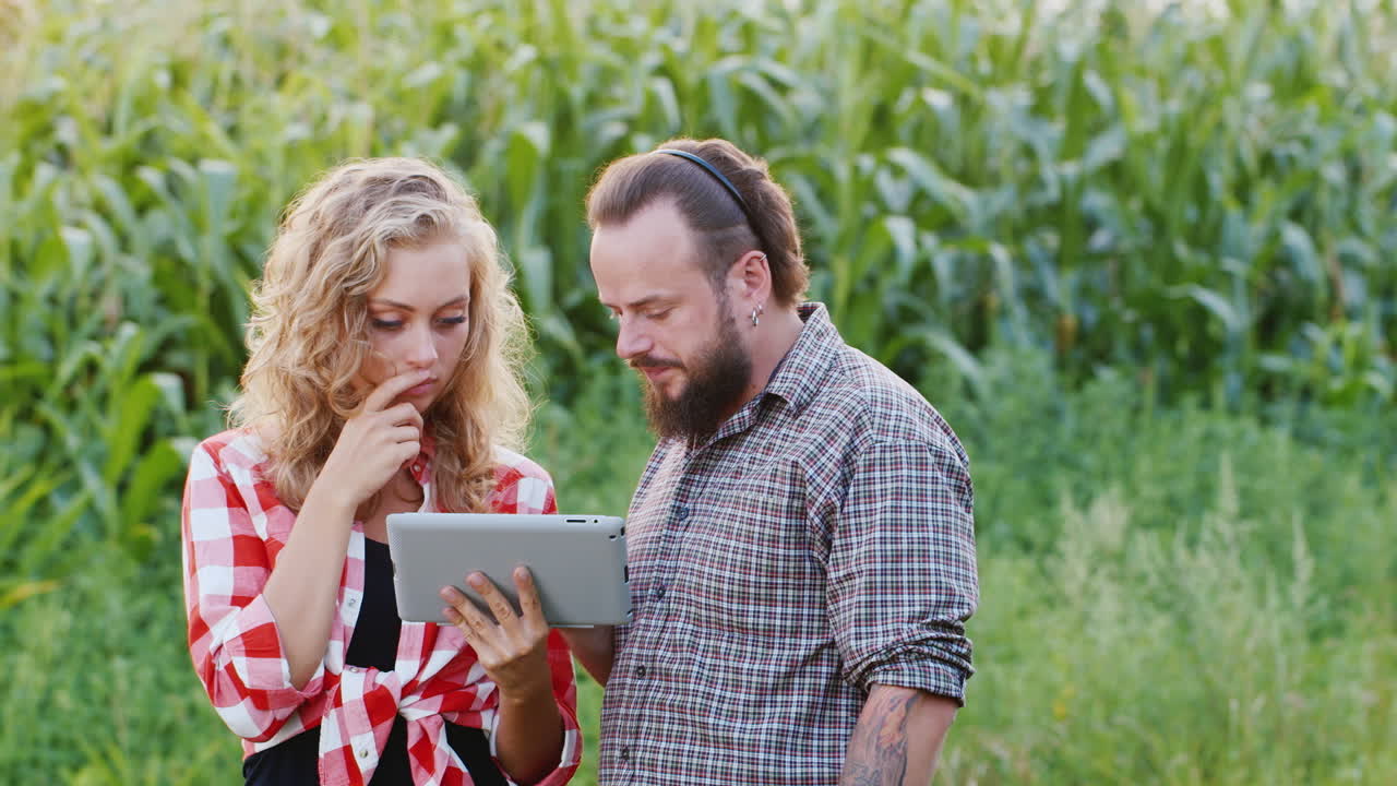 los agricultores trabajan cerca de un campo de girasoles en flor 5