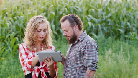 Farmers-work-near-a-field-of-flowering-sunflowers-5