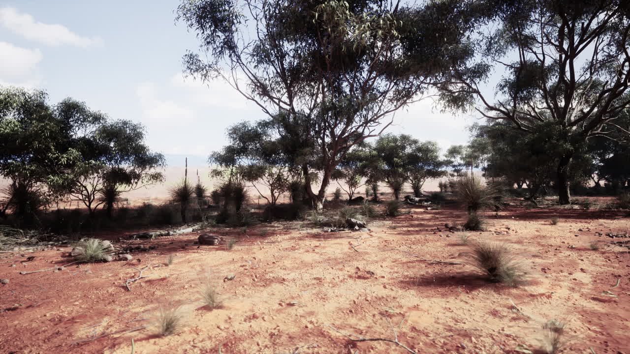 paisaje desértico árido con árboles y hierba