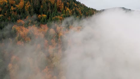 aerial view over vibrant automnal mountain forest with a sea of clouds, 4k