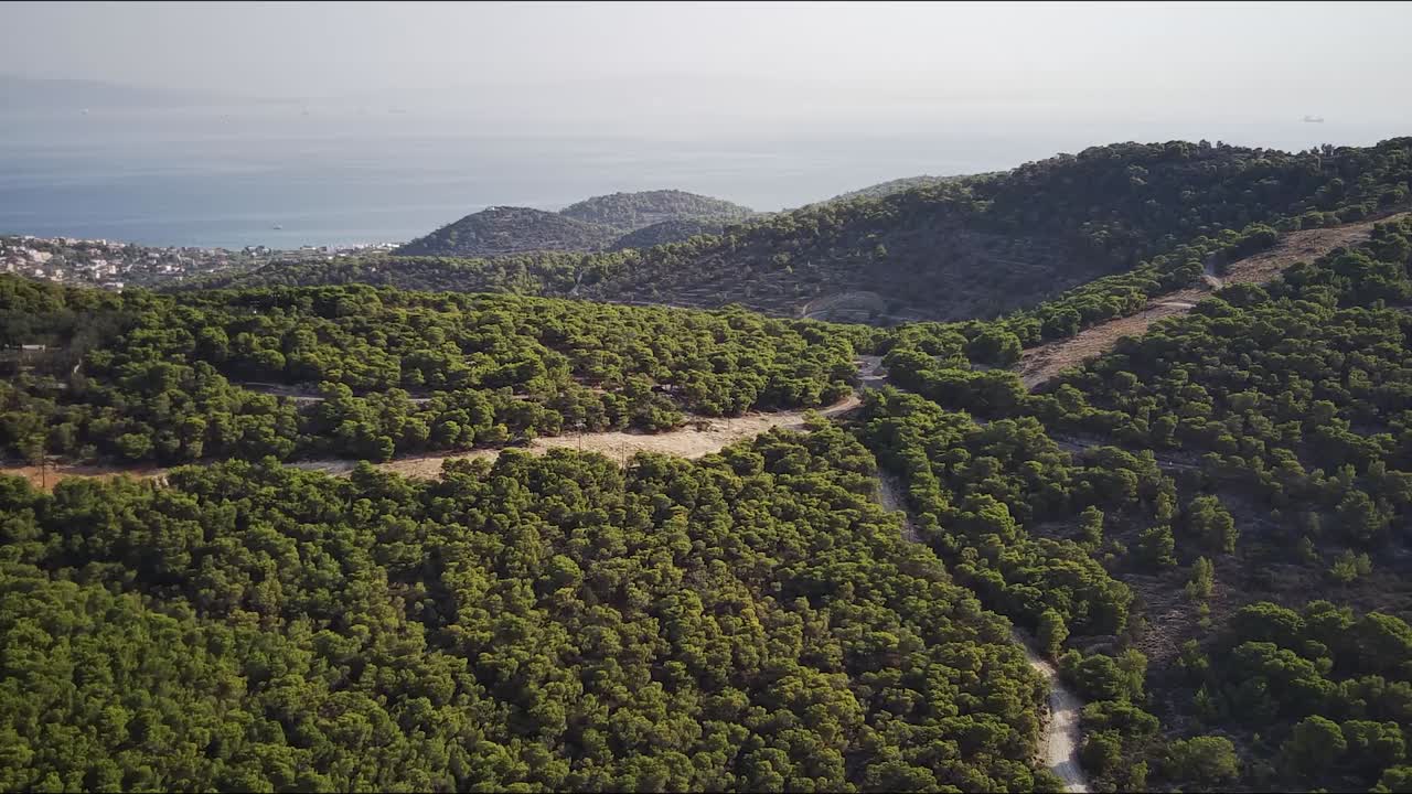Veduta aerea di una splendida foresta ad Agia Marina in una giornata di sole