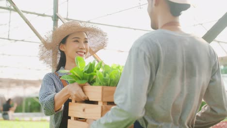 happy farmers working in a greenhouse