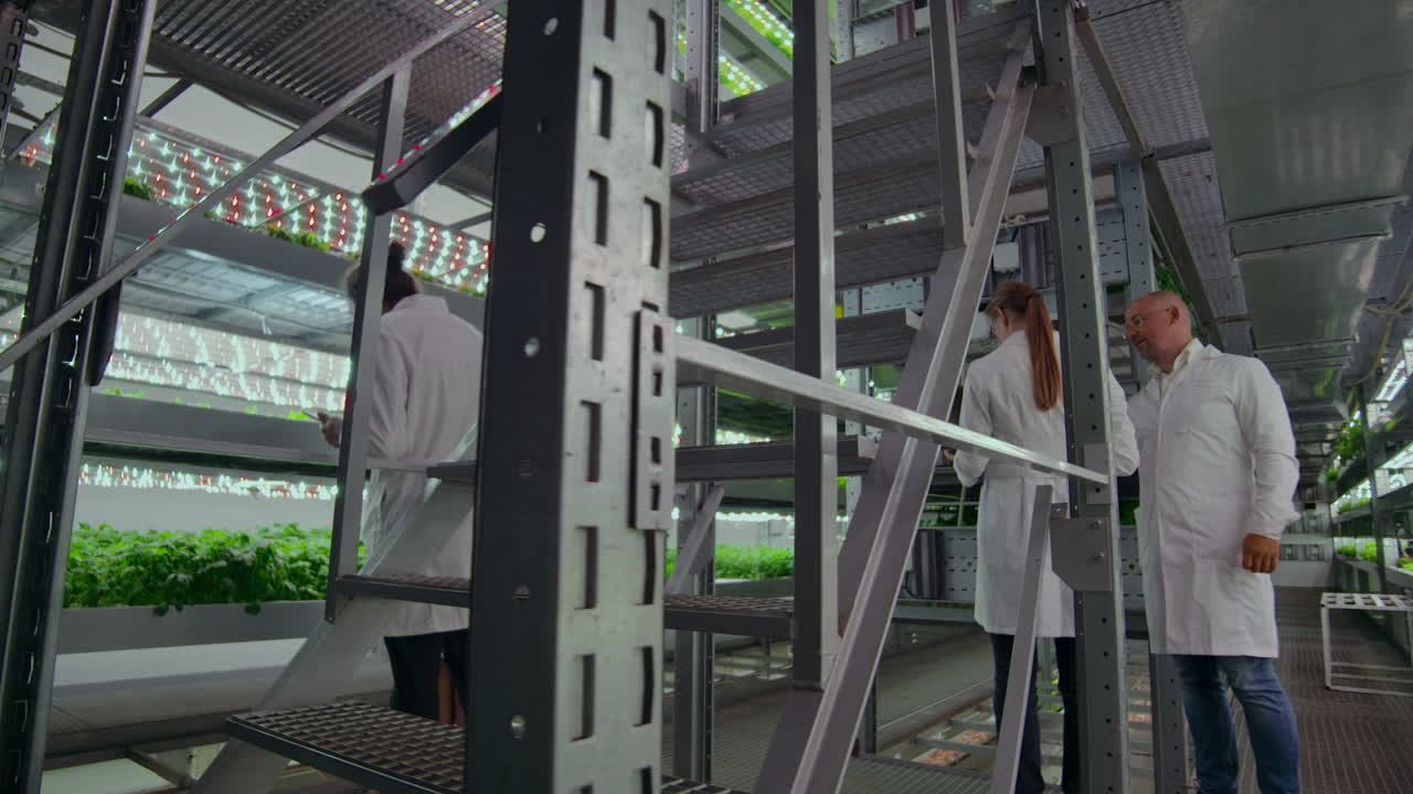 백색 코트를 입은 미생물학자는 과 태블릿을 가지고 현대 농장에서 걸어서 녹색 식물의 성장 결과를 연구하고 논의합니다.