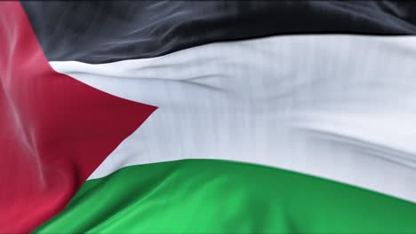 close up view of the flag of palestine waving in the wind