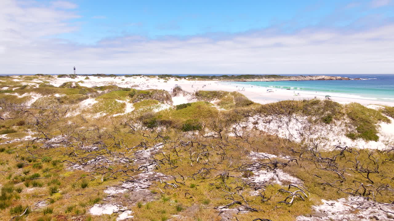 Vegetação de dunas da Praia Moonlight em Pringle Bay ao longo da Costa da Baleia do Cabo, vista aérea.