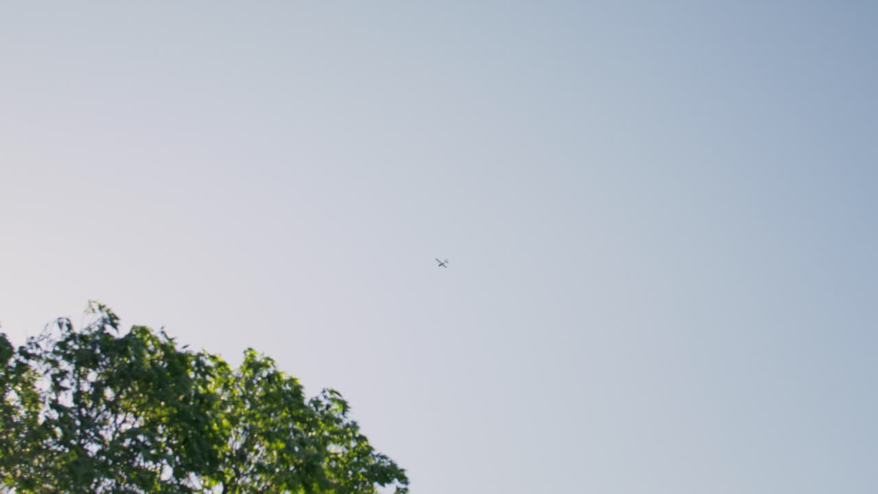 Airplane in the Sky near Trees
