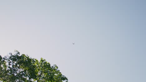 airplane in the sky near trees