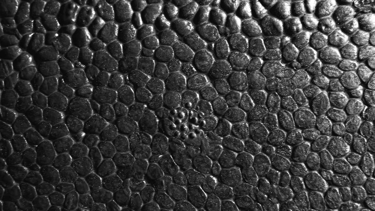 Padrão de textura de isopor preto abstrato