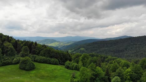 pristine forest in beskid sadecki mountains, poland on cloudy summer day, aerial panorama