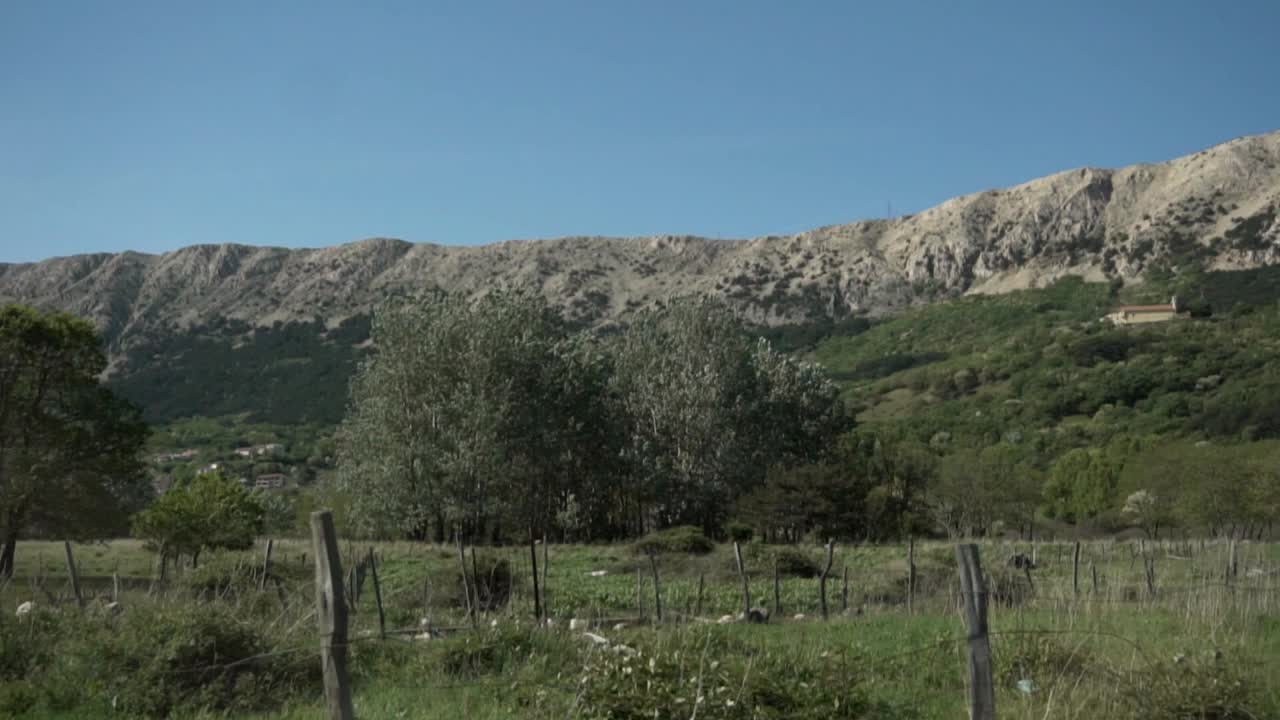 Driving by fenced meadow with trees surrounded by rocky mountains and blue sky