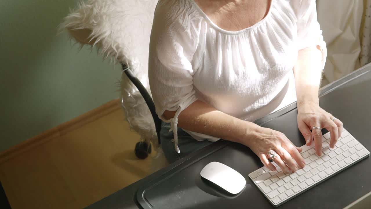 전문 작가가 자신의 이야기를 입력하고 이야기에 생명을 불어넣습니다.