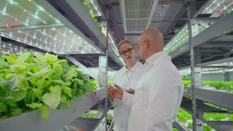 Medium-shot-of-two-scientists-man-and-woman-in-white-coats-holding-test-tube-and-tablet-computer-and-examining-samples-while-making-soil-tests-in-farm-greenhouse