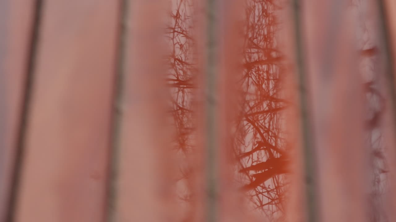 Close-Up Shot Of Wet Bench on a Rainy Day